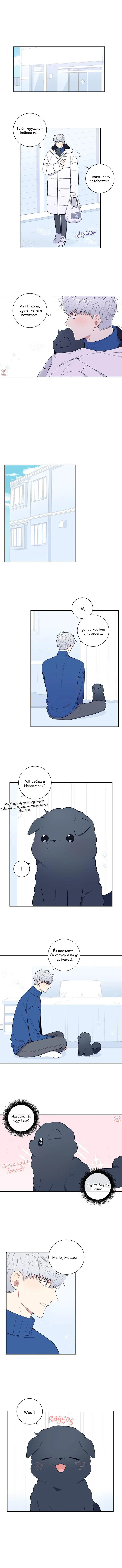 42905215 720 9231 209536